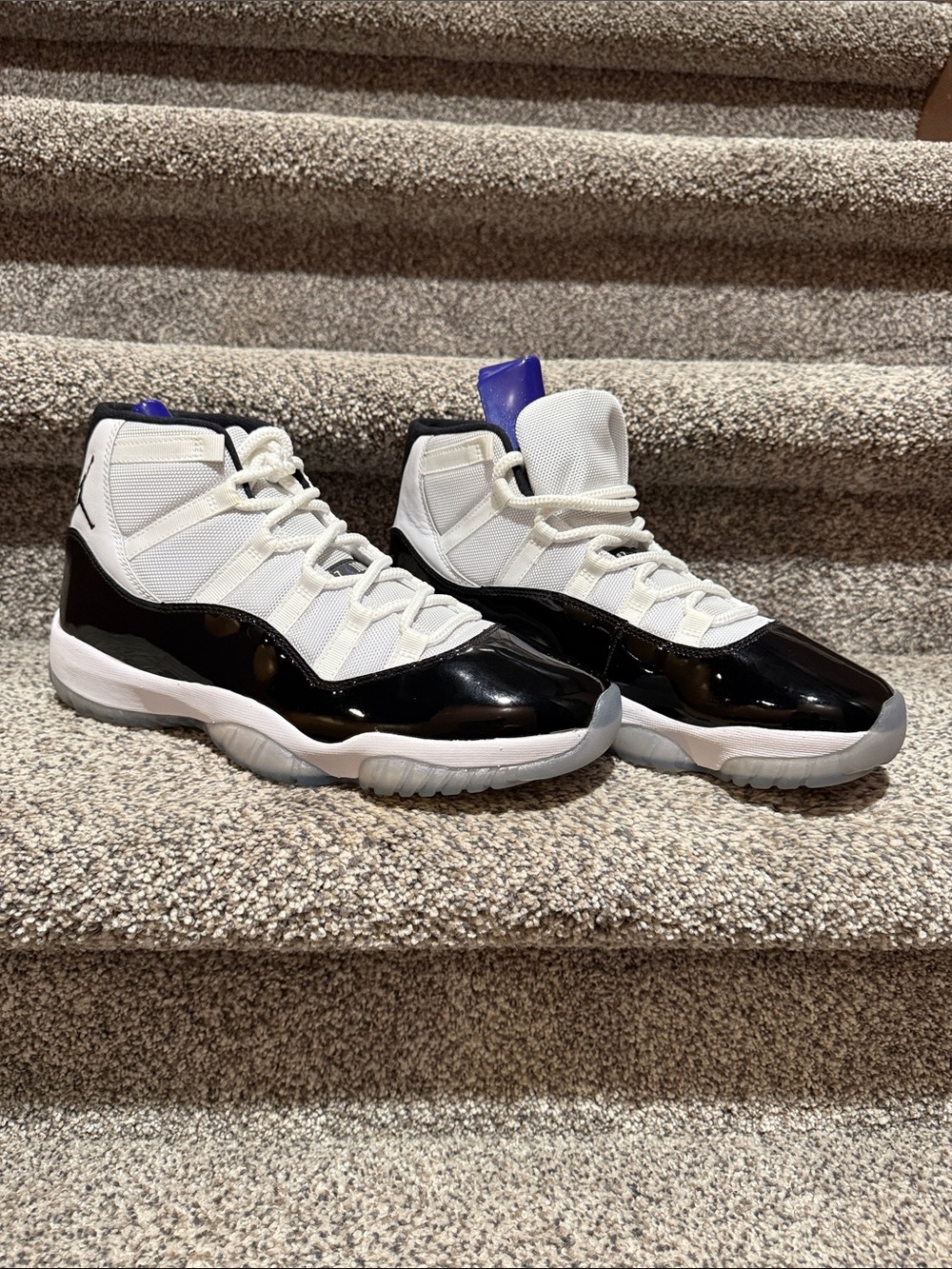 Air Jordan 11 Retro “Concord” (2018) |